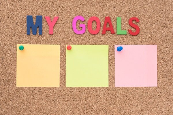 setting goals to manifest weight loss